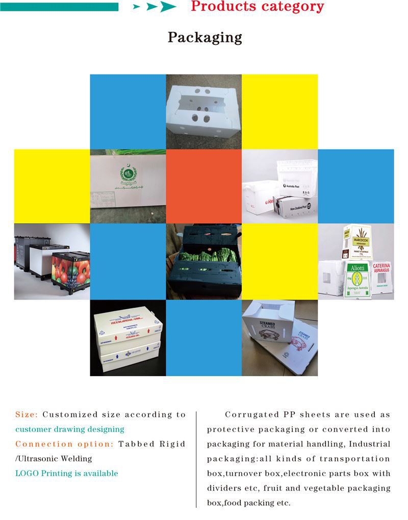 PP hollow sheet (2)